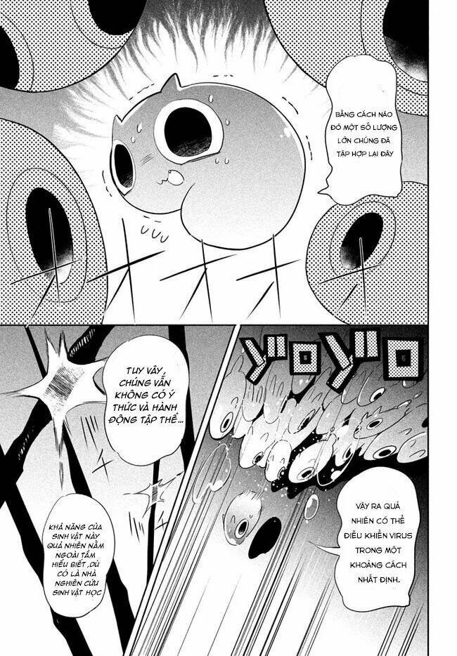 page_25.jpg