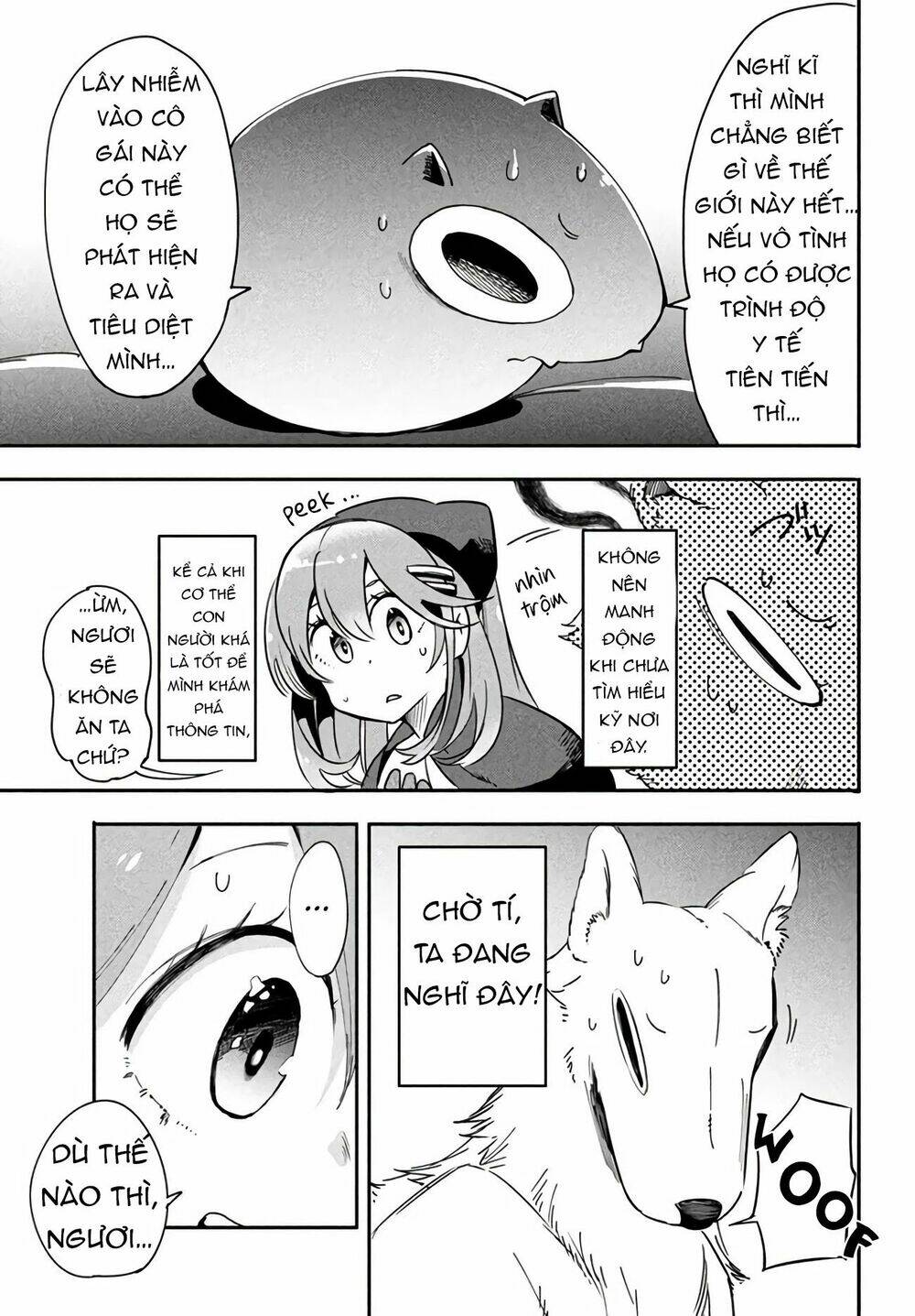 page_13.jpg