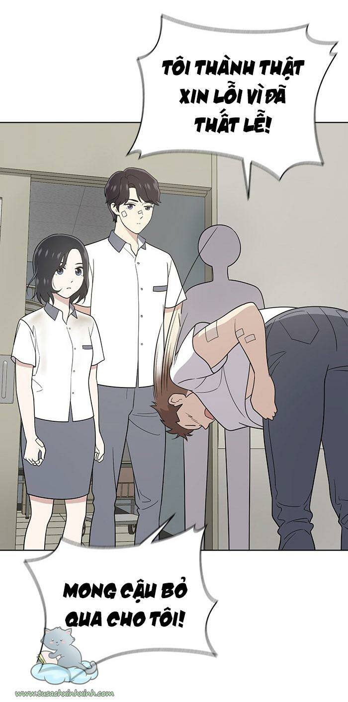 page_20.jpg