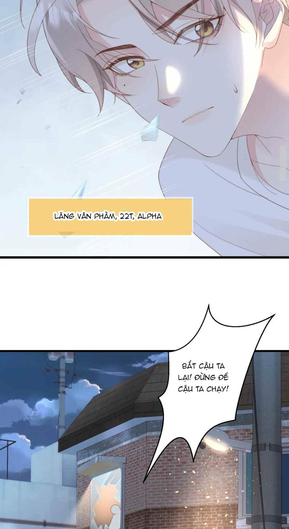 page_21.jpg