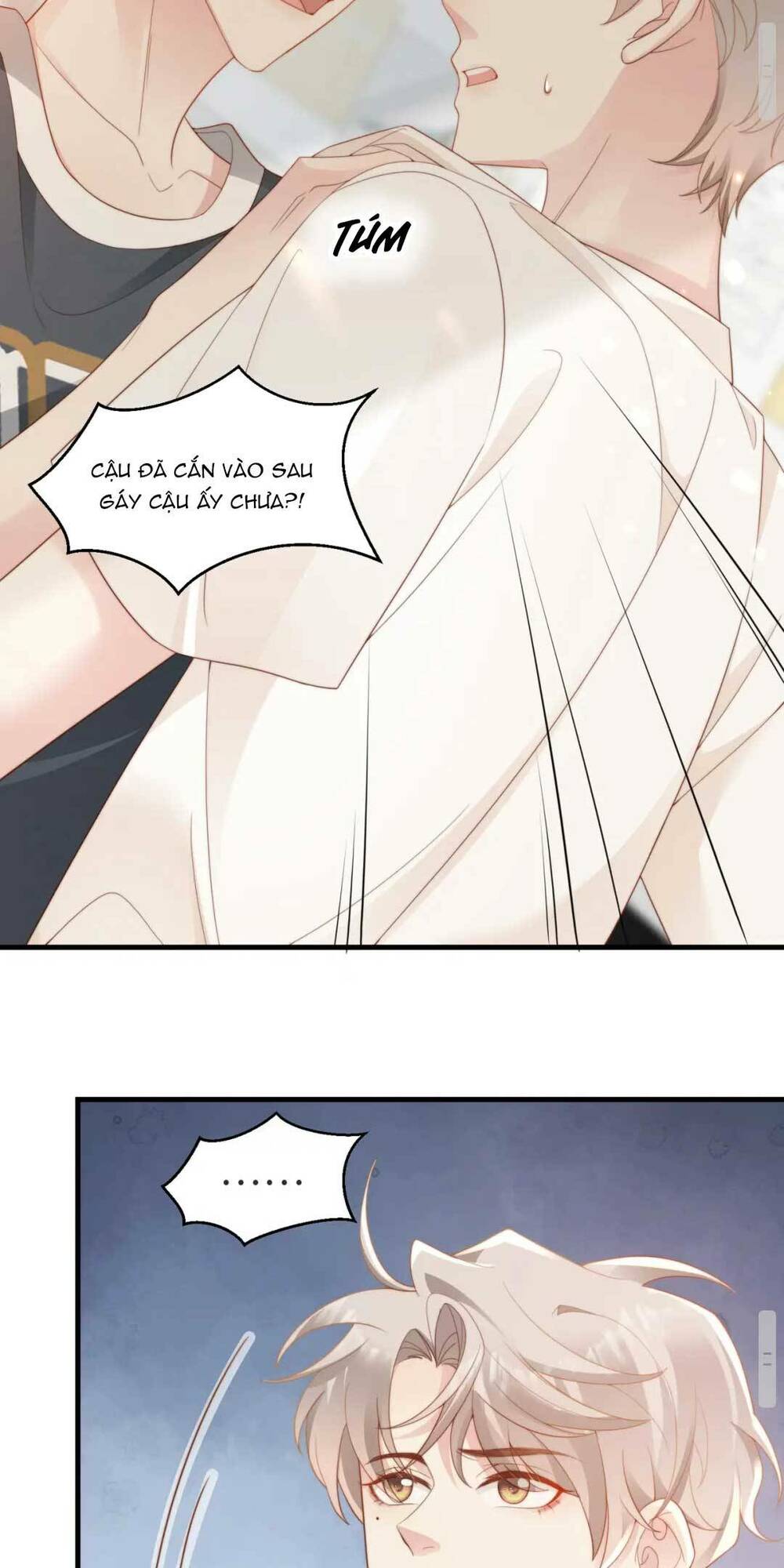 page_19.jpg