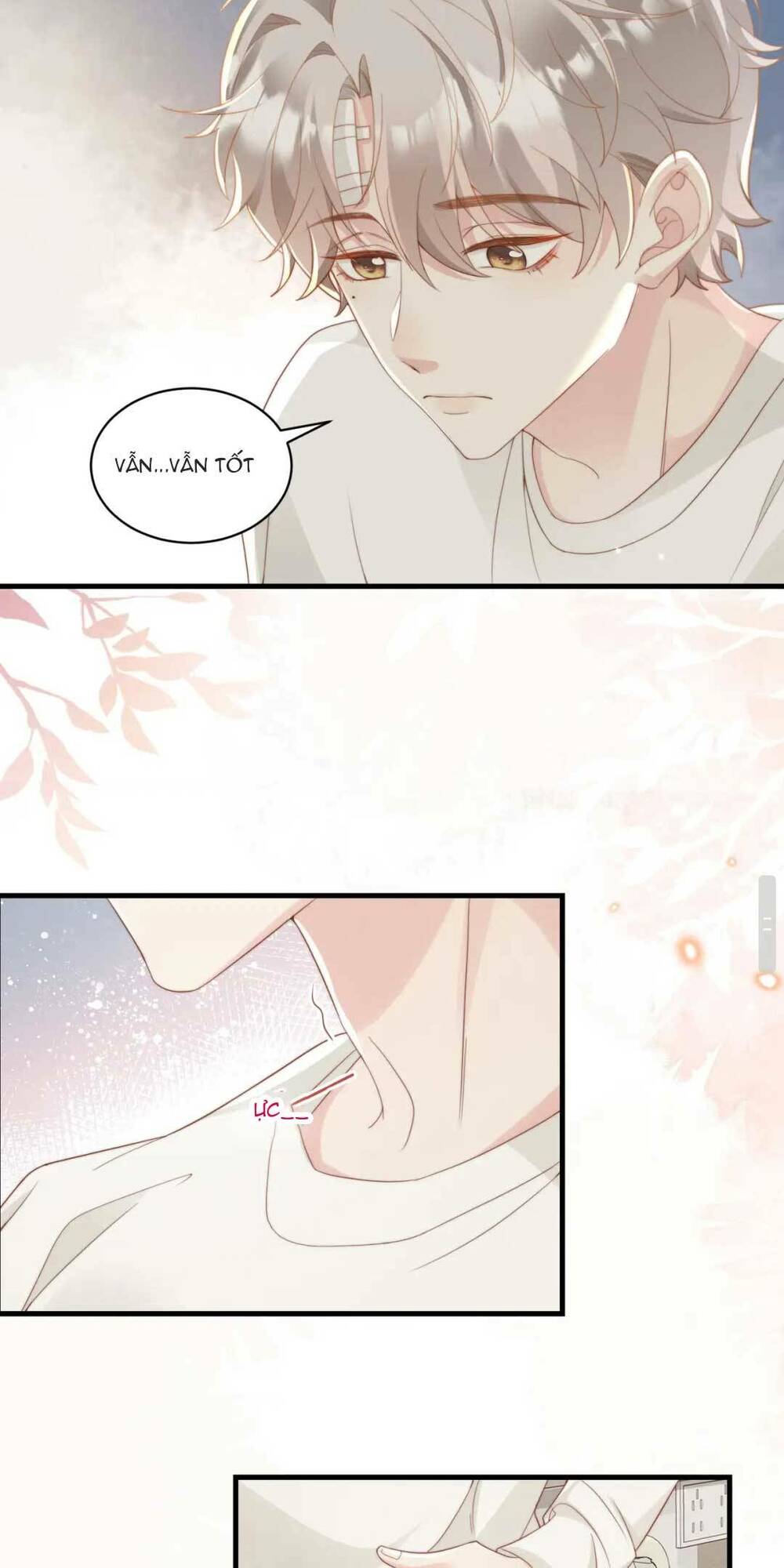 page_16.jpg