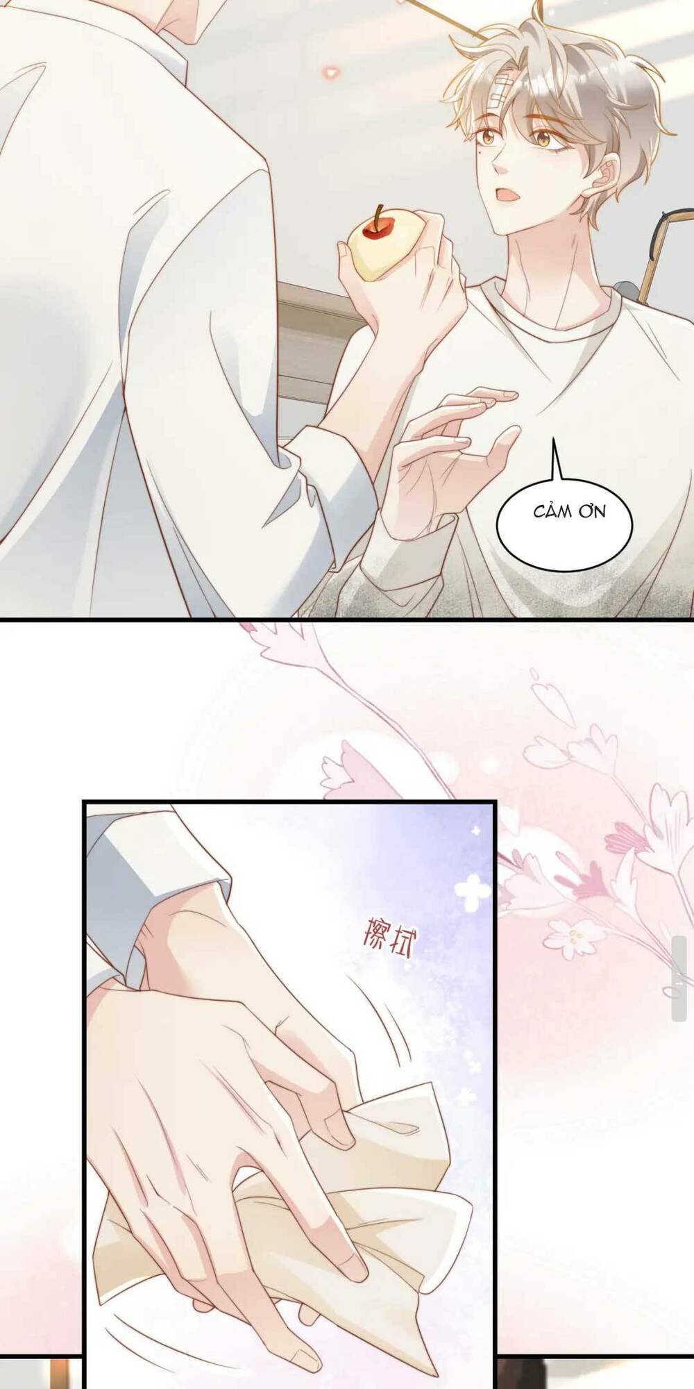 page_24.jpg