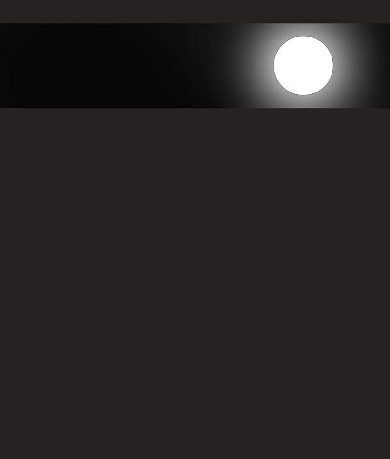 page_14.jpg