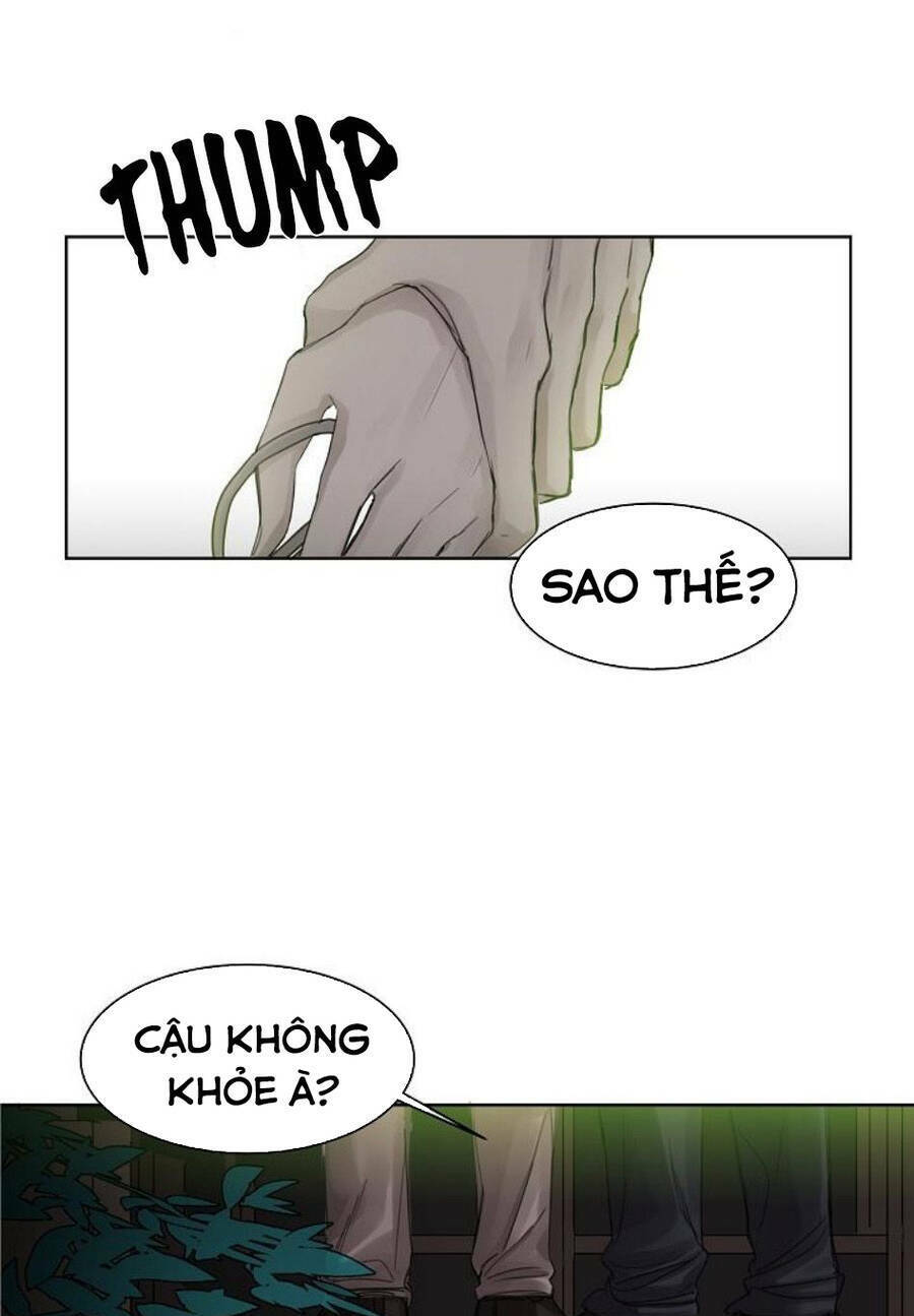 page_48.jpg
