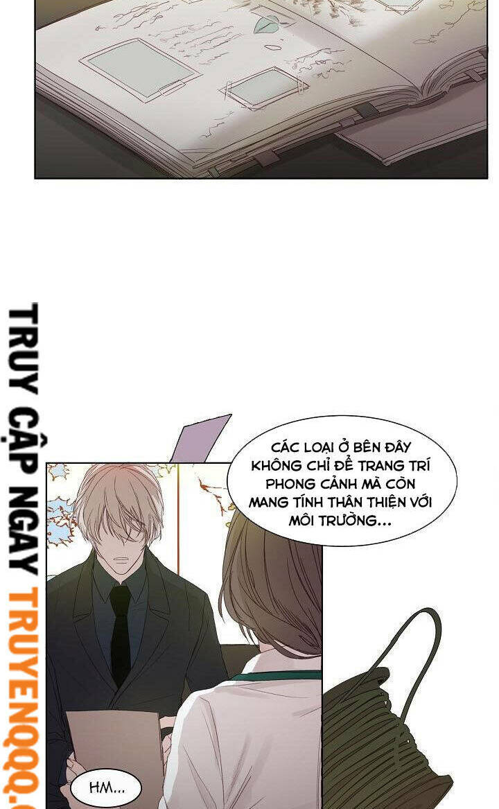 page_21.jpg