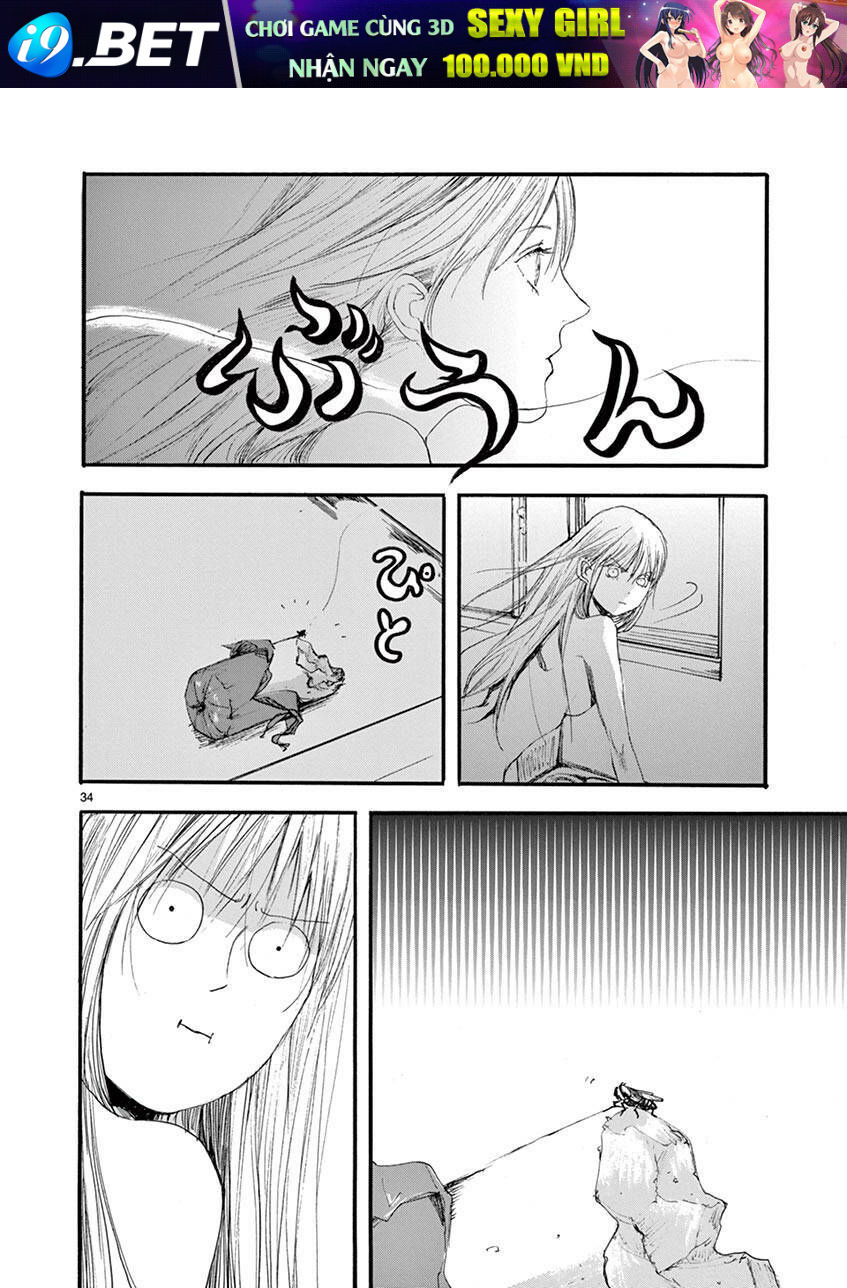 page_36.jpg