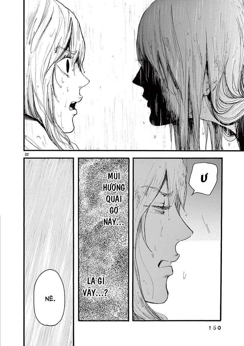 page_24.jpg