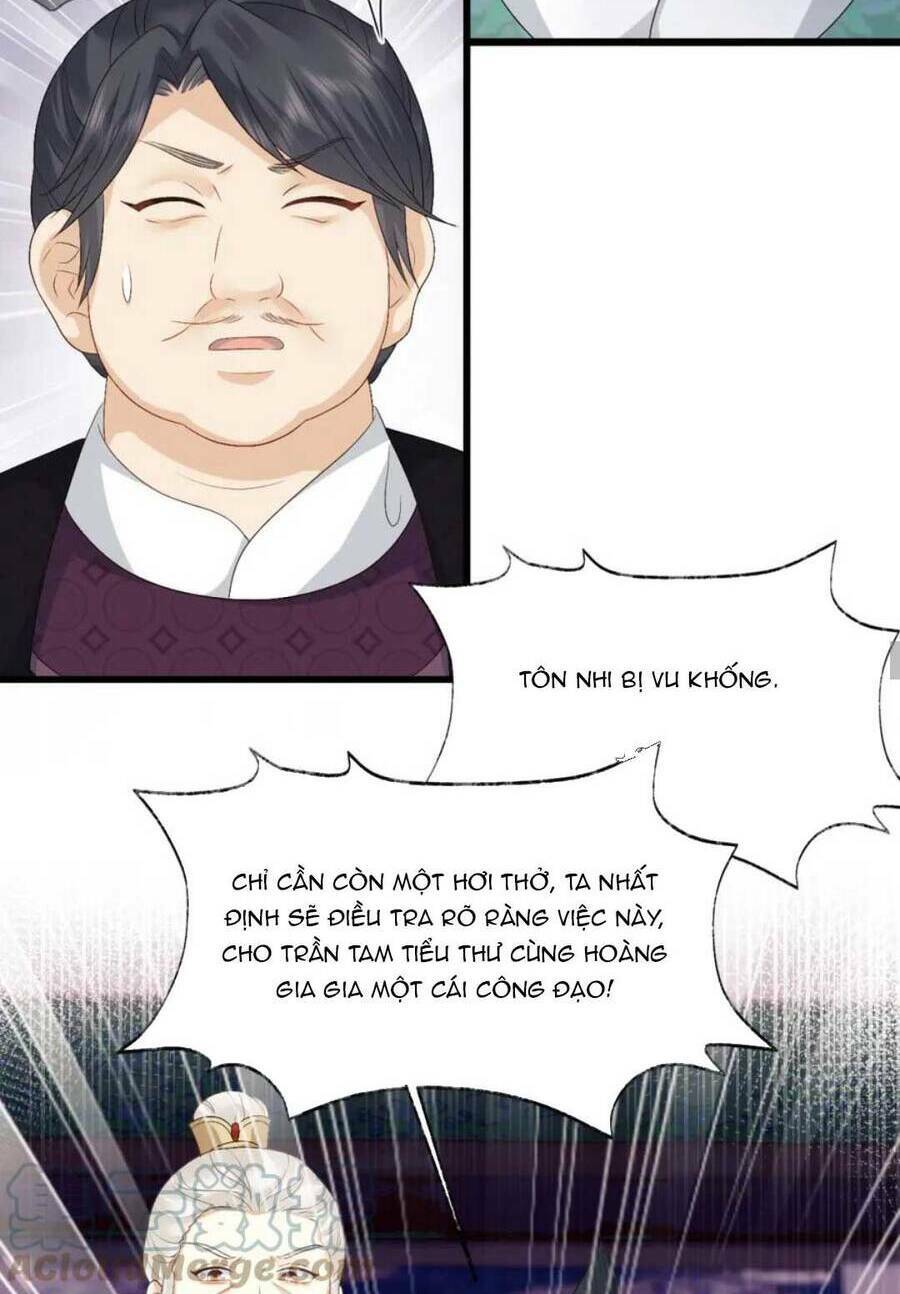 page_24.jpg