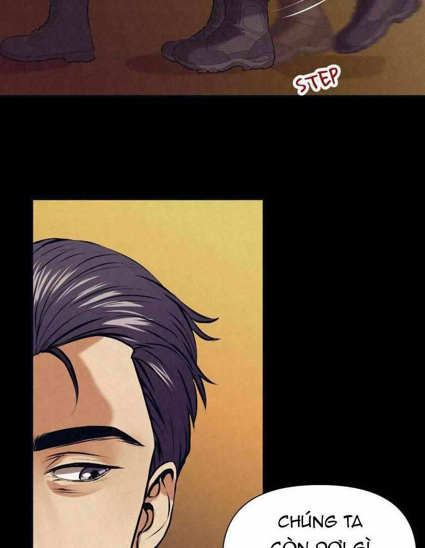 page_19.jpg