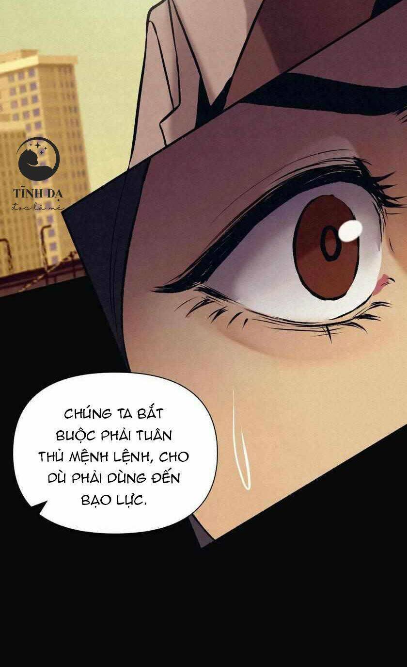 page_28.jpg