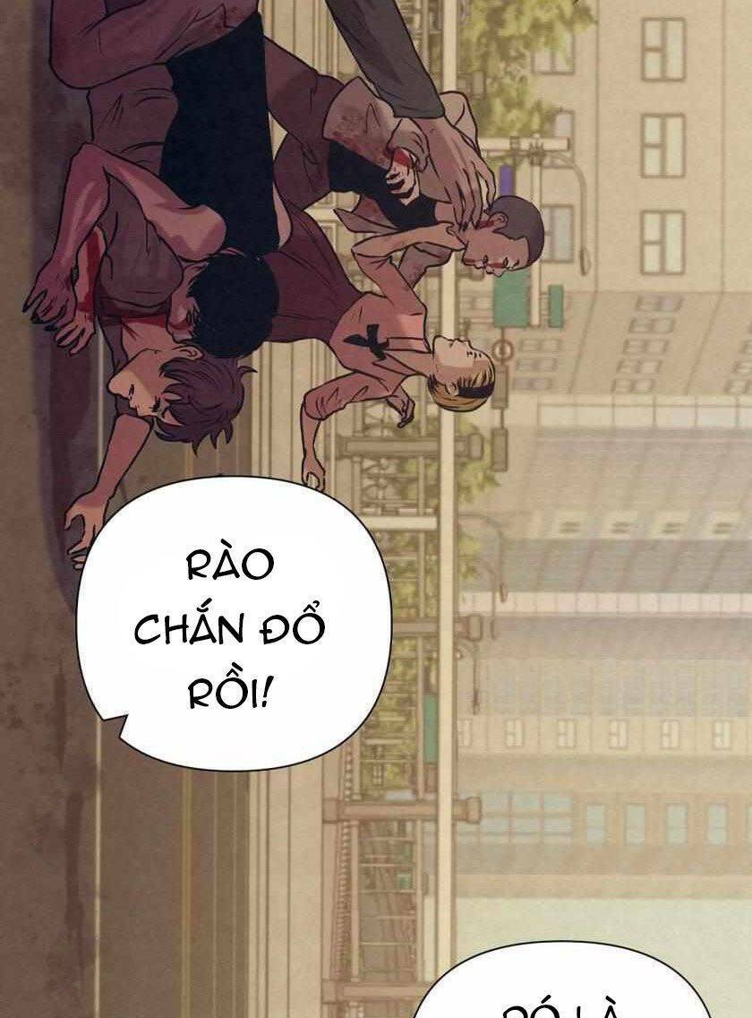 page_43.jpg
