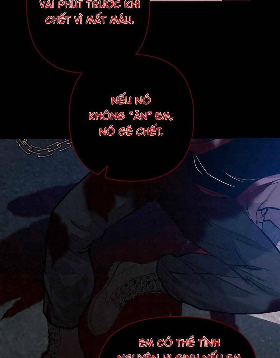 page_19.jpg