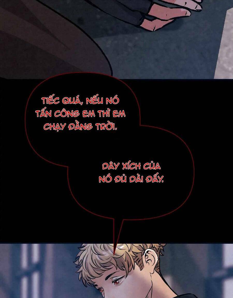 page_21.jpg
