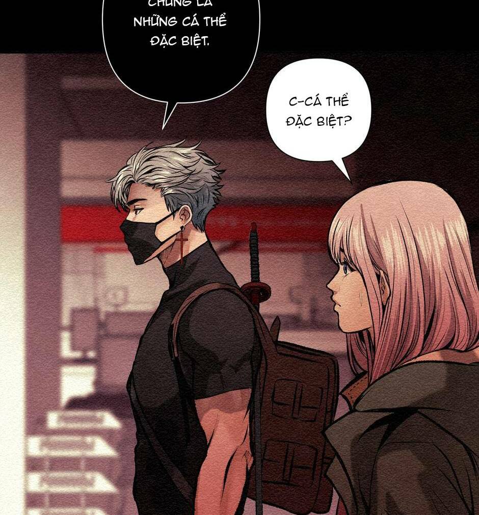 page_13.jpg