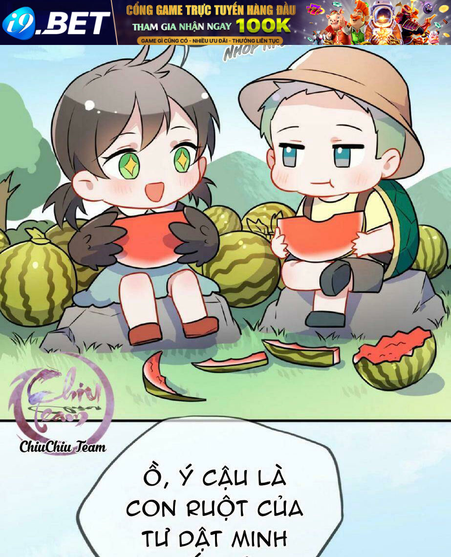 page_5.jpg