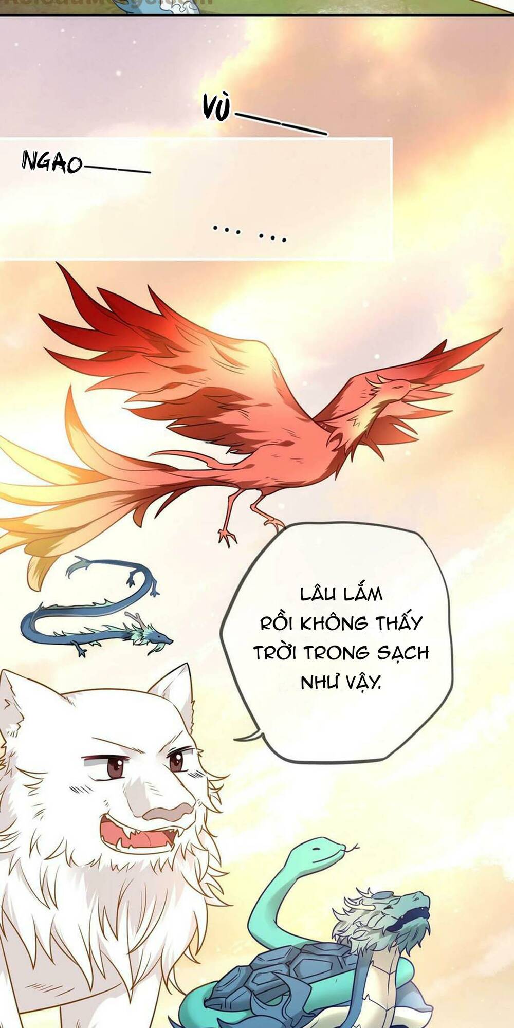 page_19.jpg