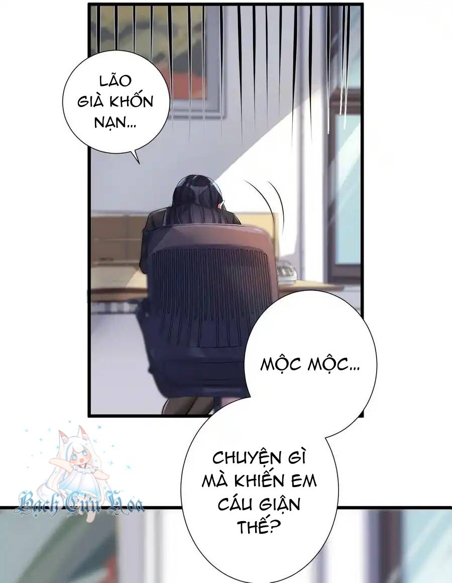 page_33.jpg