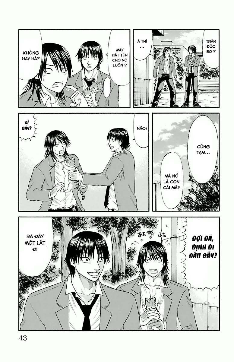 page_19.jpg