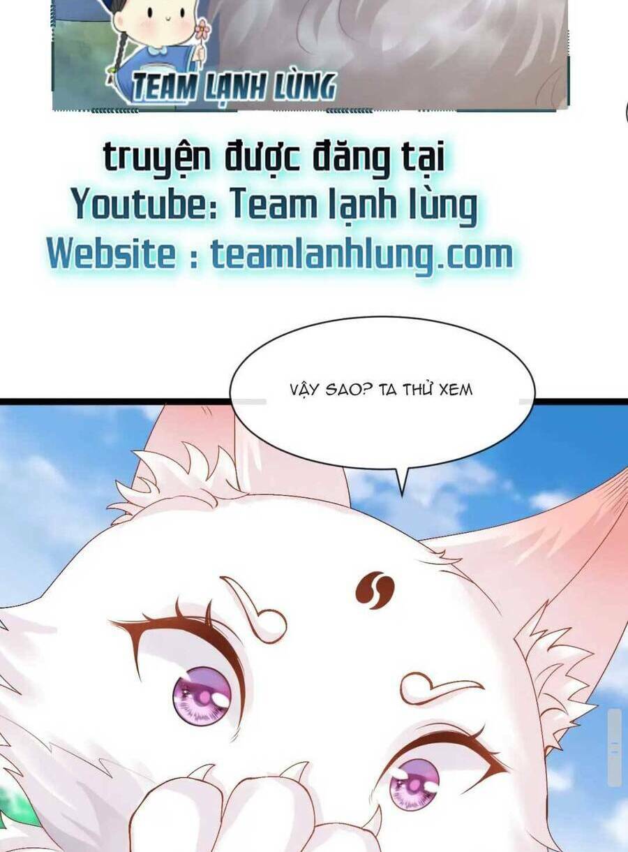 page_26.jpg