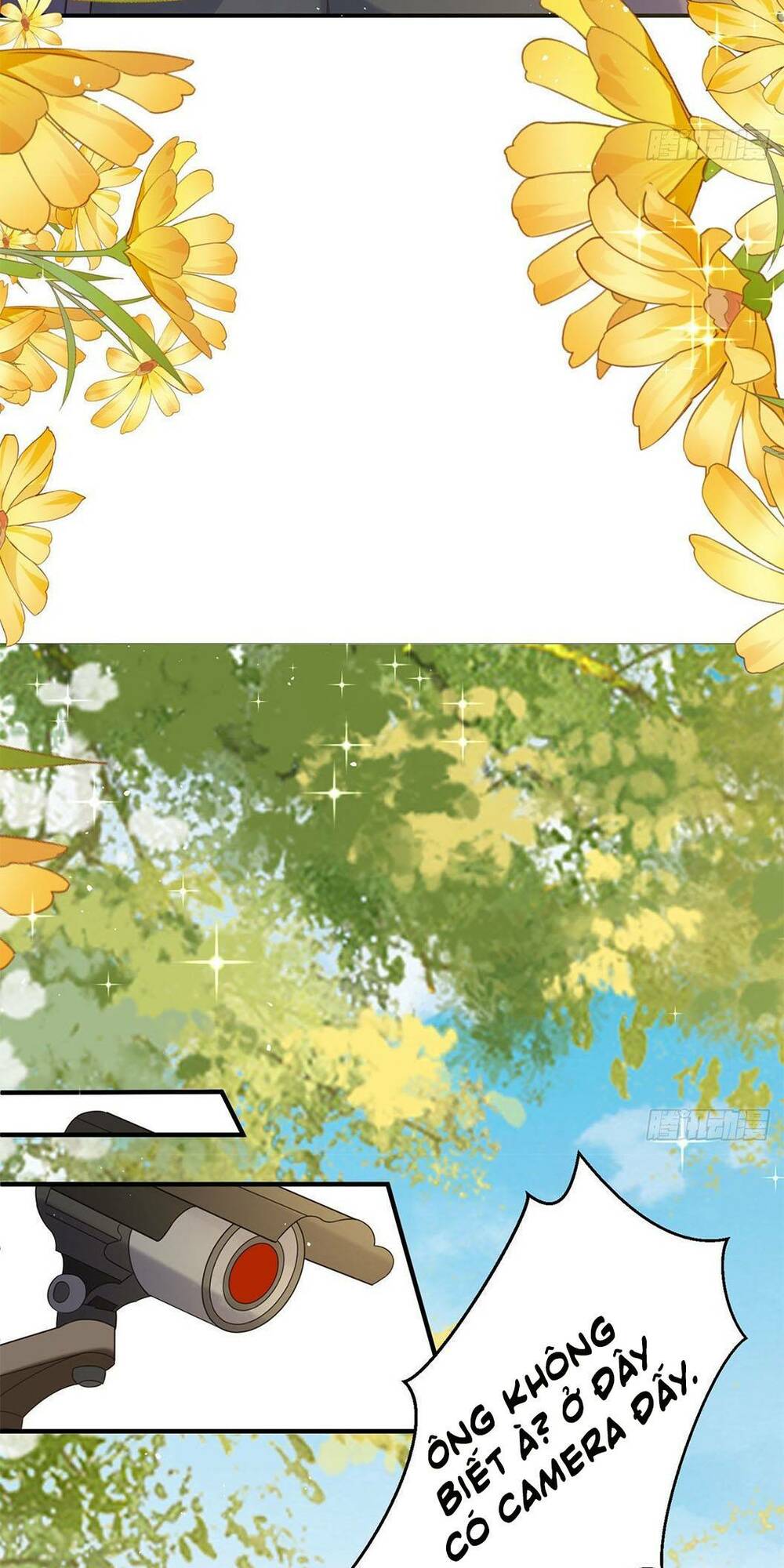 page_29.jpg