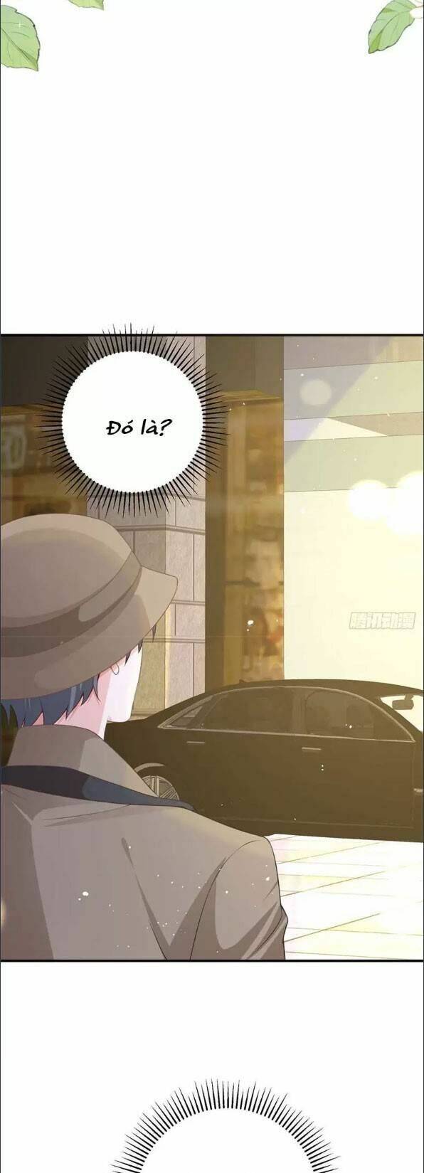 page_19.jpg