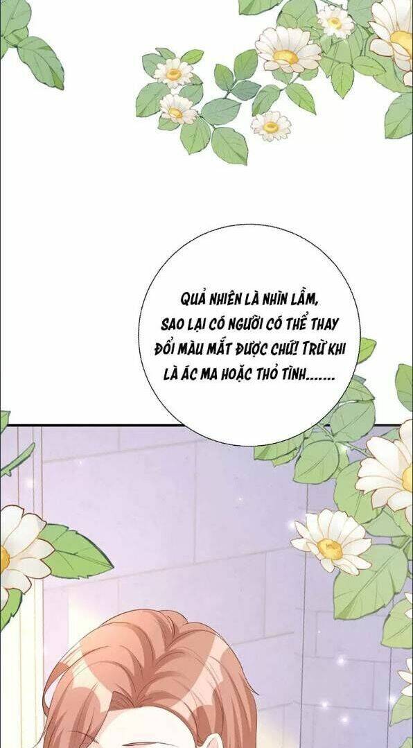 page_24.jpg