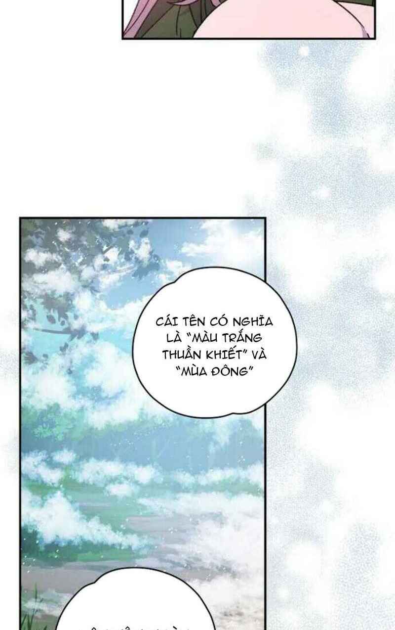 page_25.jpg