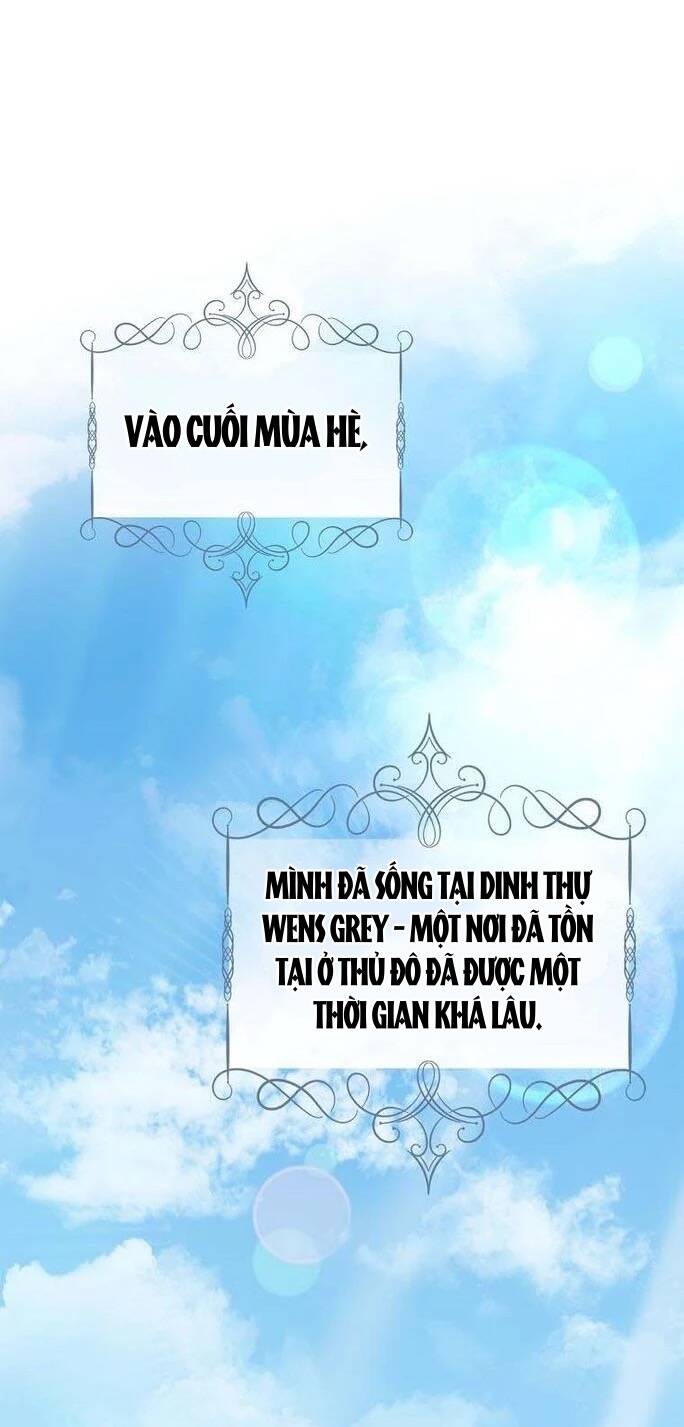 page_29.jpg