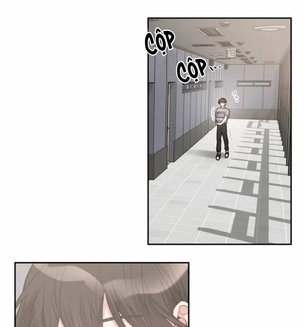 page_28.jpg