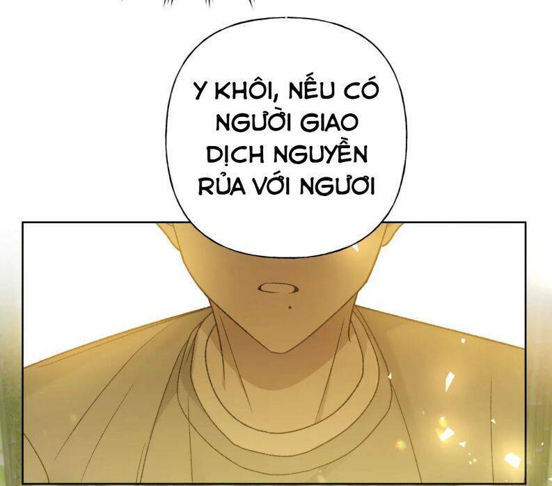page_29.jpg