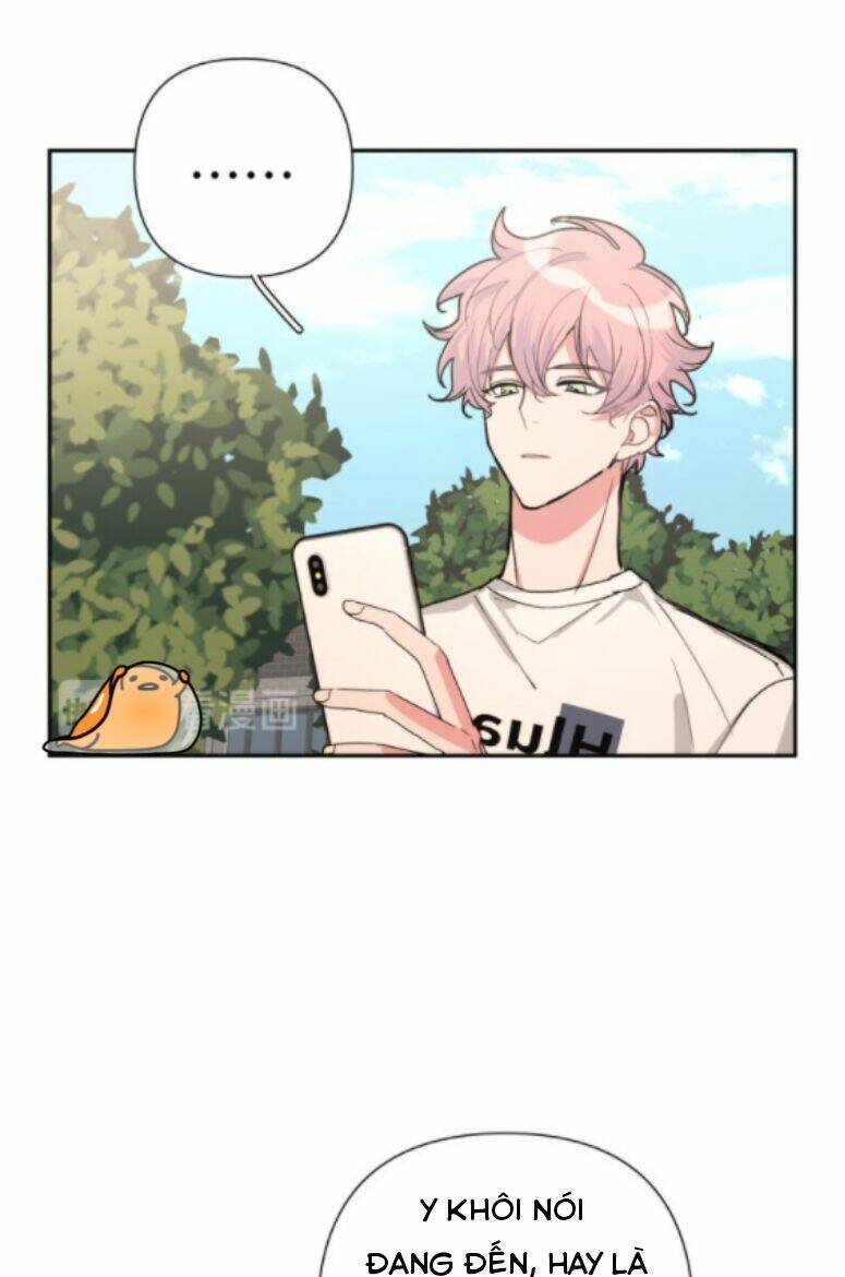 page_26.jpg