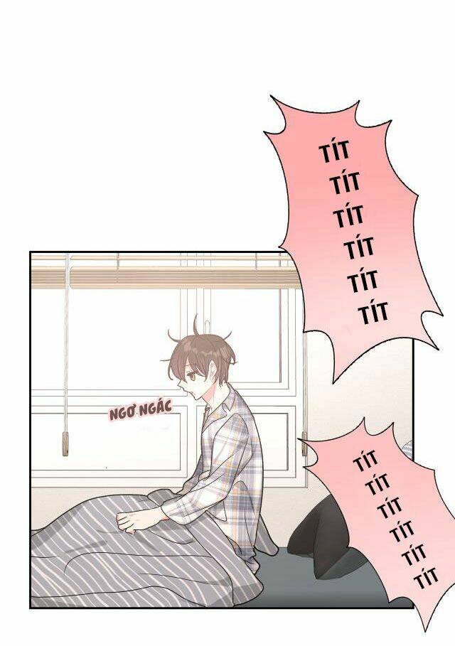 page_41.jpg