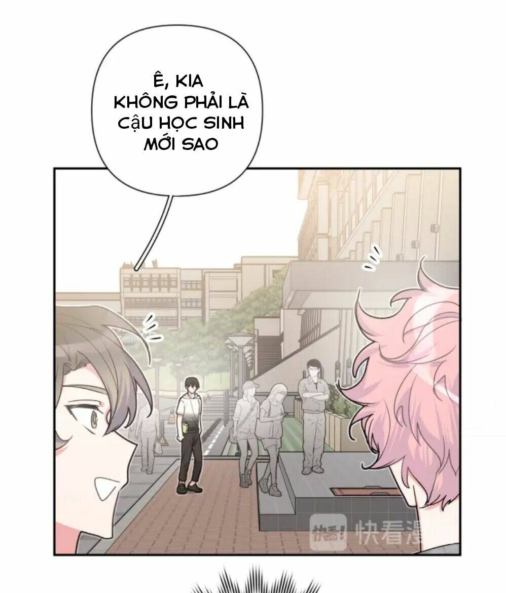 page_19.jpg