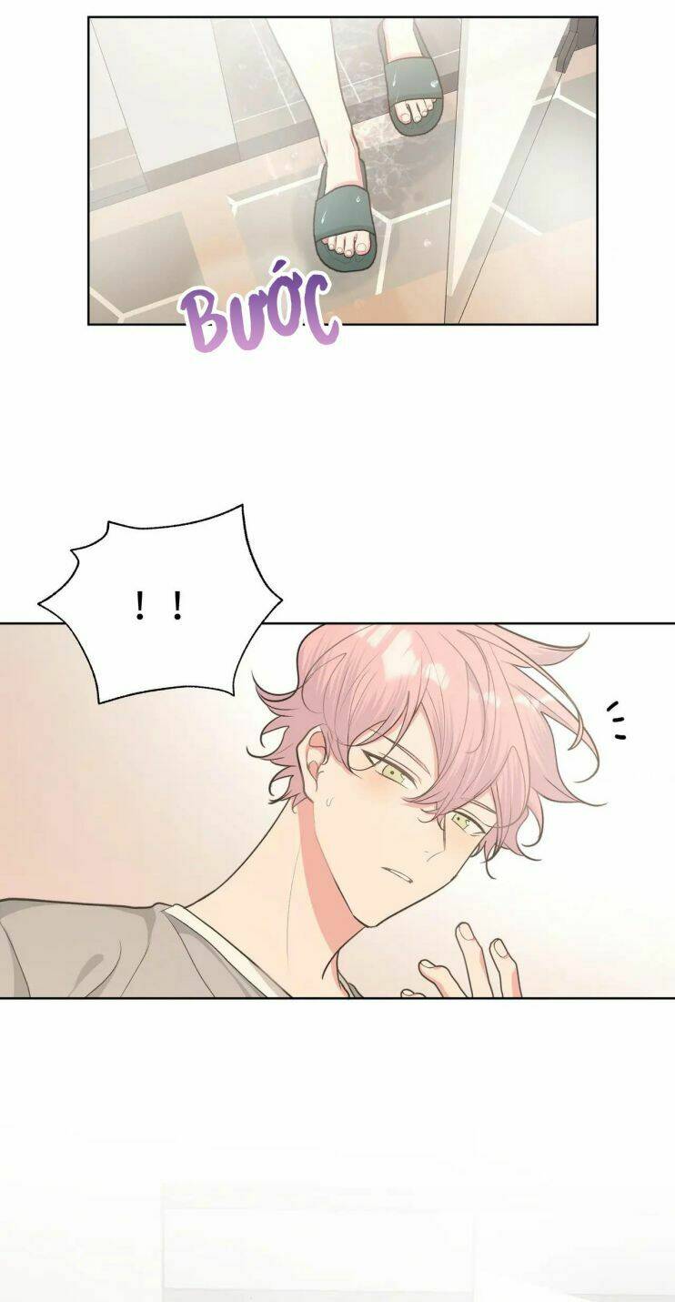 page_16.jpg