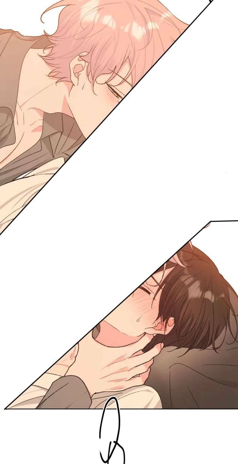 page_21.jpg