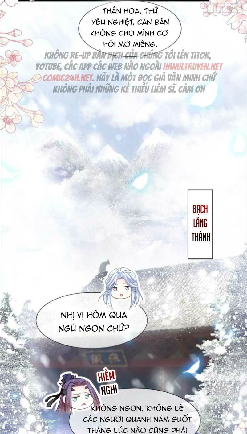 page_17.jpg