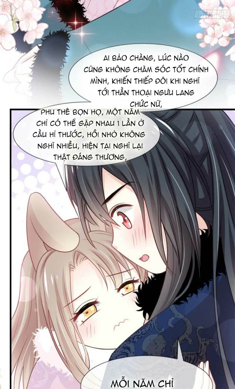 page_14.jpg