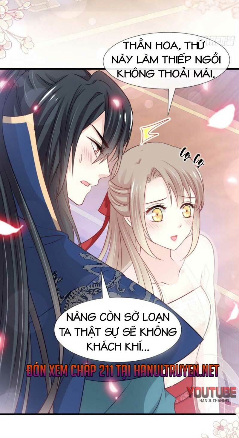 page_19.jpg