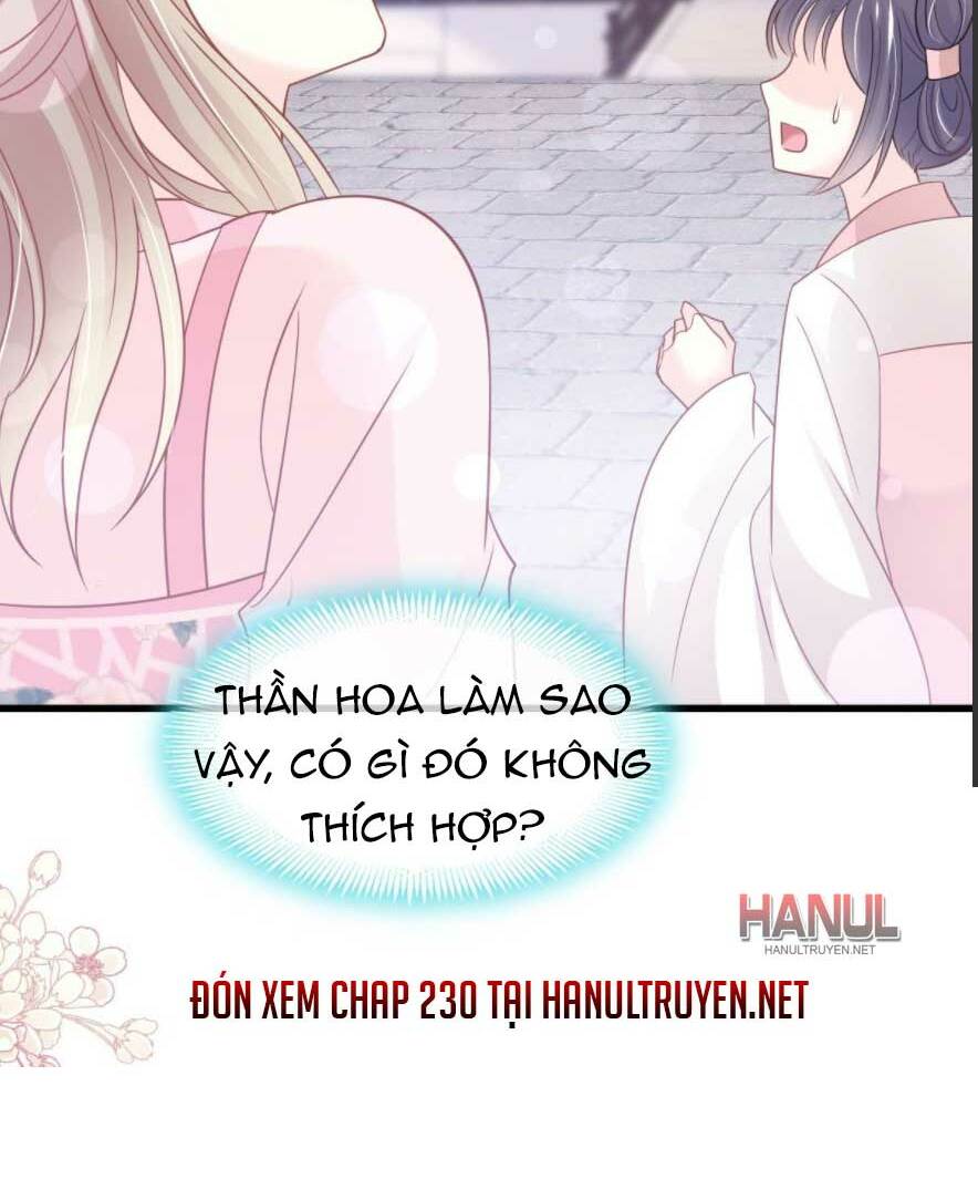 page_22.jpg