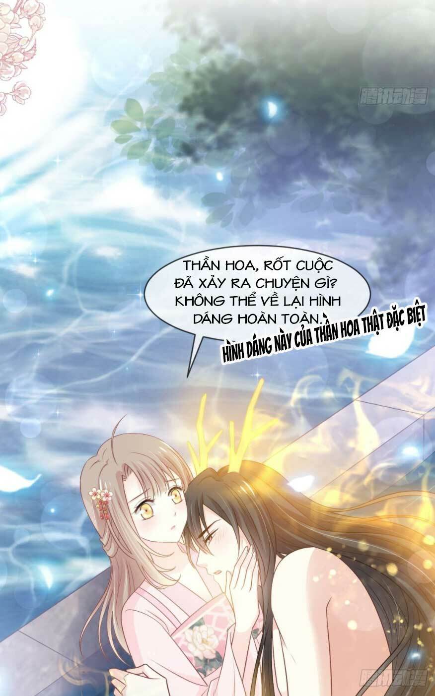 page_14.jpg