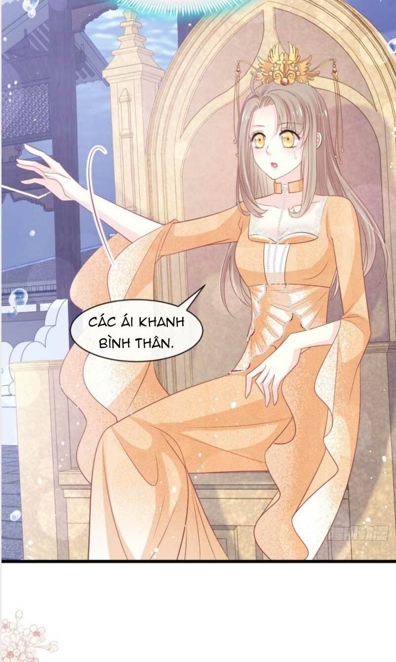page_27.jpg