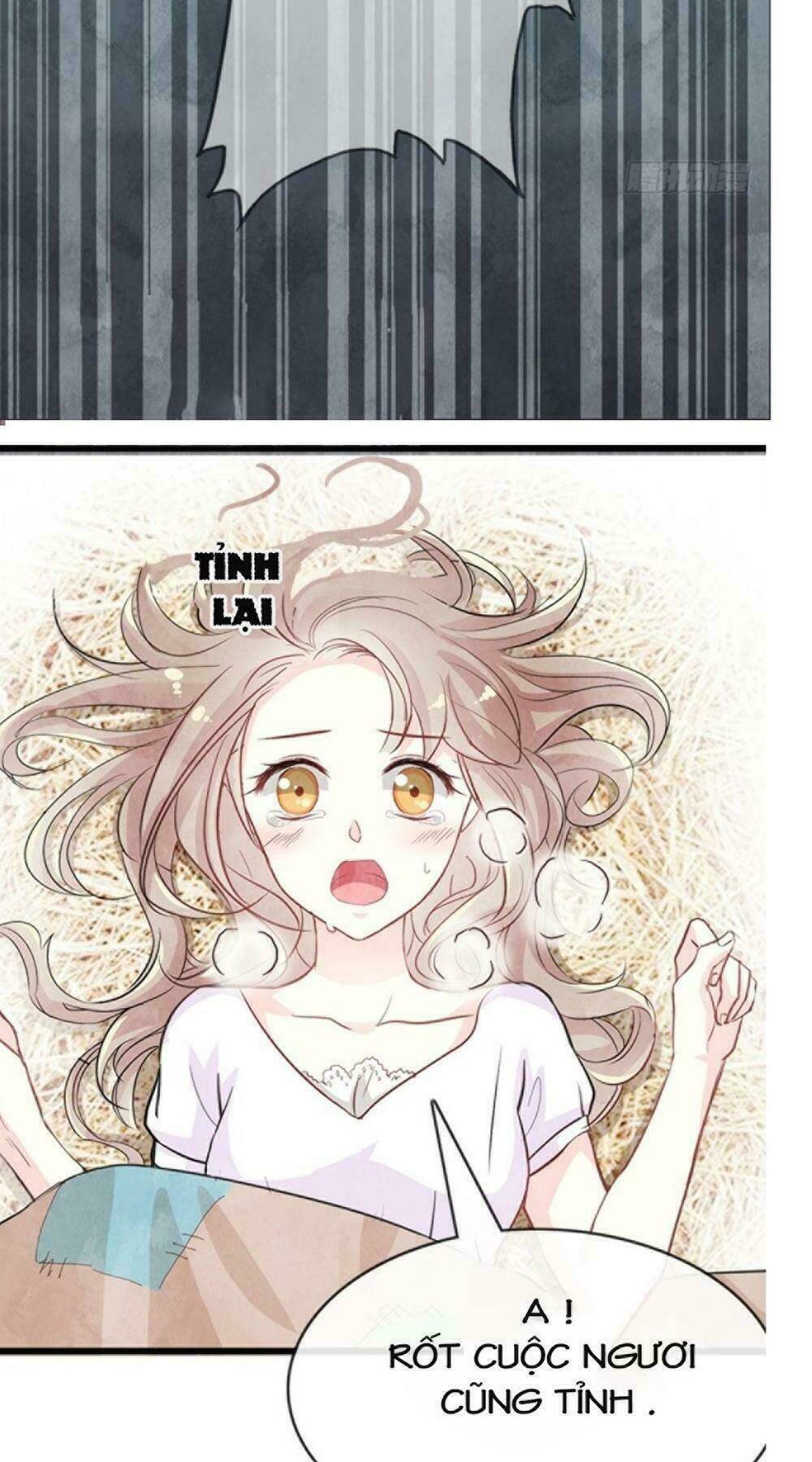 page_28.jpg