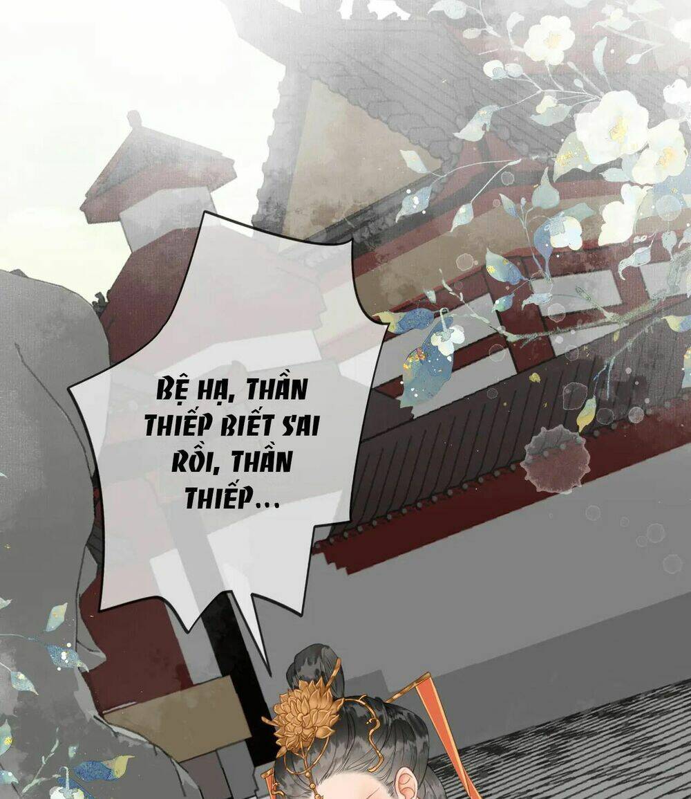 page_21.jpg