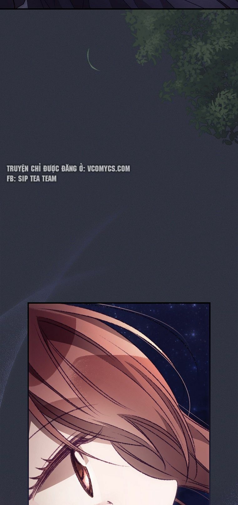 page_21.jpg