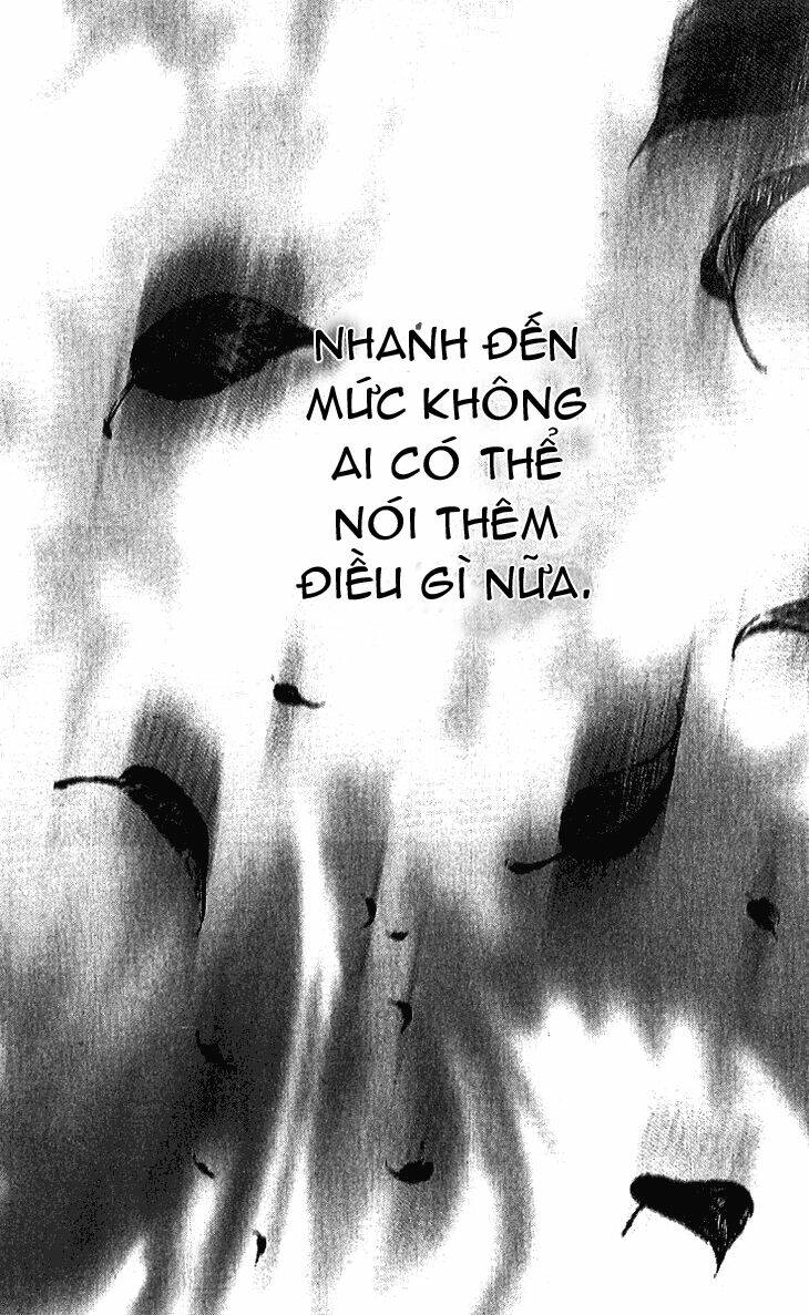 page_33.jpg