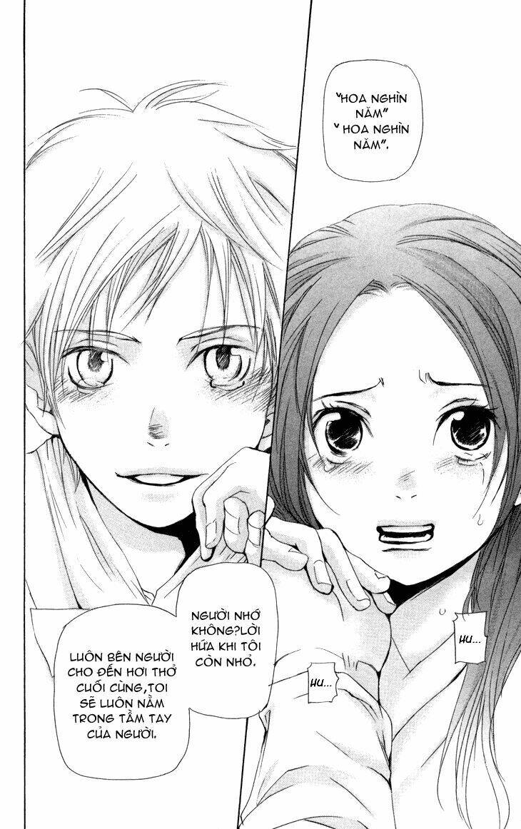 page_31.jpg