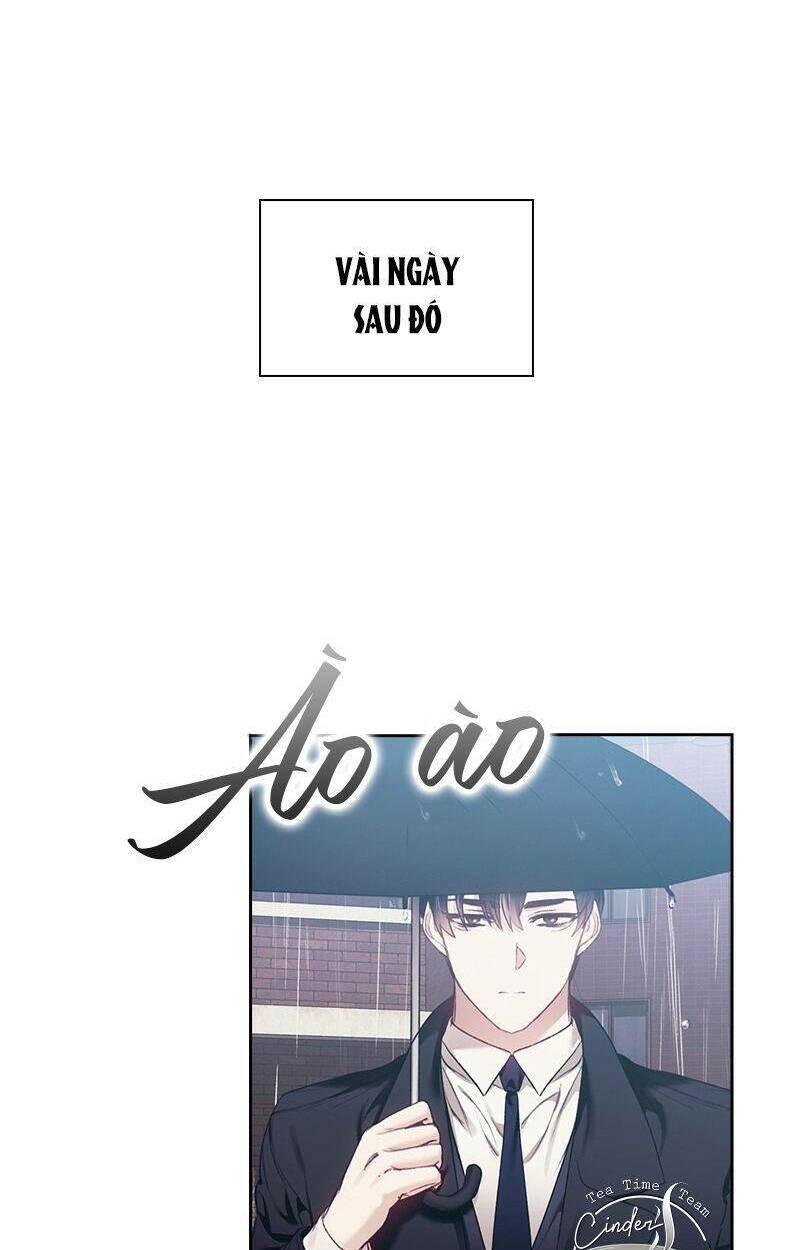 page_17.jpg