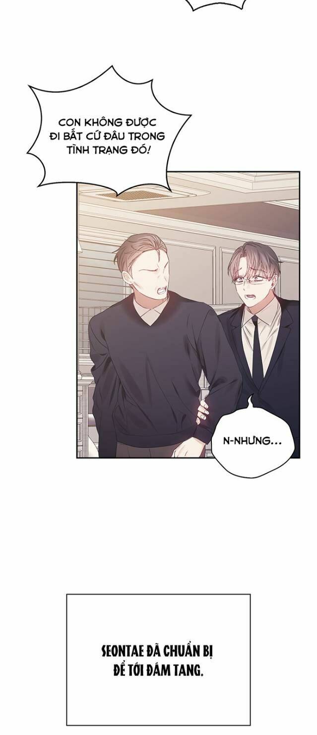 page_19.jpg