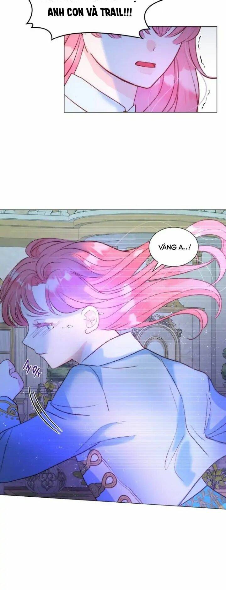 page_25.jpg